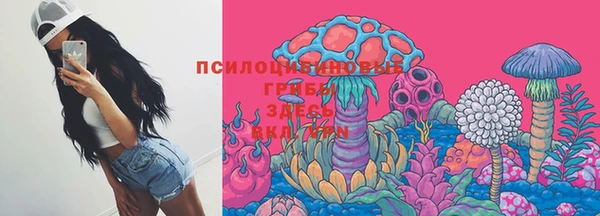 apvp Сатка