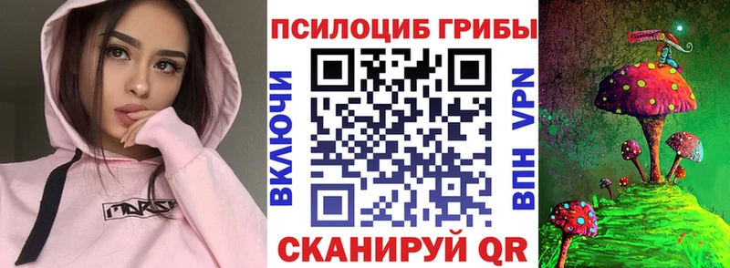 купить наркотик Вяземский Псилоцибиновые грибы мухоморы